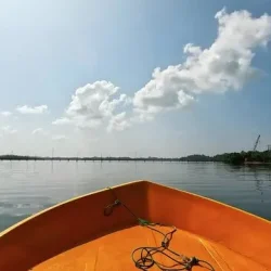 360_F_1149127452_kQe3CQP7L9IDcBaNVz7eNZ67OznllGYB