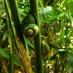 -51804157835_139398983071_1533725238_n