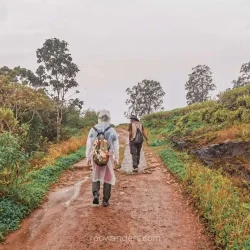 Deniyaya-Sinharaja-Forest-Trek-1024x768