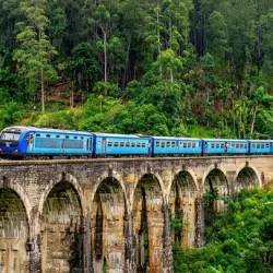 Sri_Lanka_Train_Nature_-_Header_Desktop