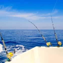 boat-fishing-trolling-deep-blue-sea-21391809