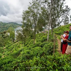 halpewatte-tea-factory-tour-halpe-ella-sri-lanka-78