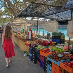 photo-1561385945-c99789cd12d1