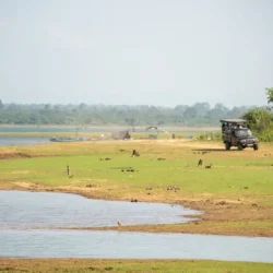 safari-car-in-yala-national-park-in-southern-sri-lanka