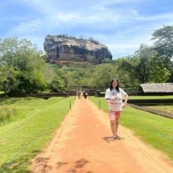 sigiriya-dambulla-minneriya-safari-with-pickup-drop