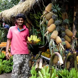 sri-lanka-fruit-market